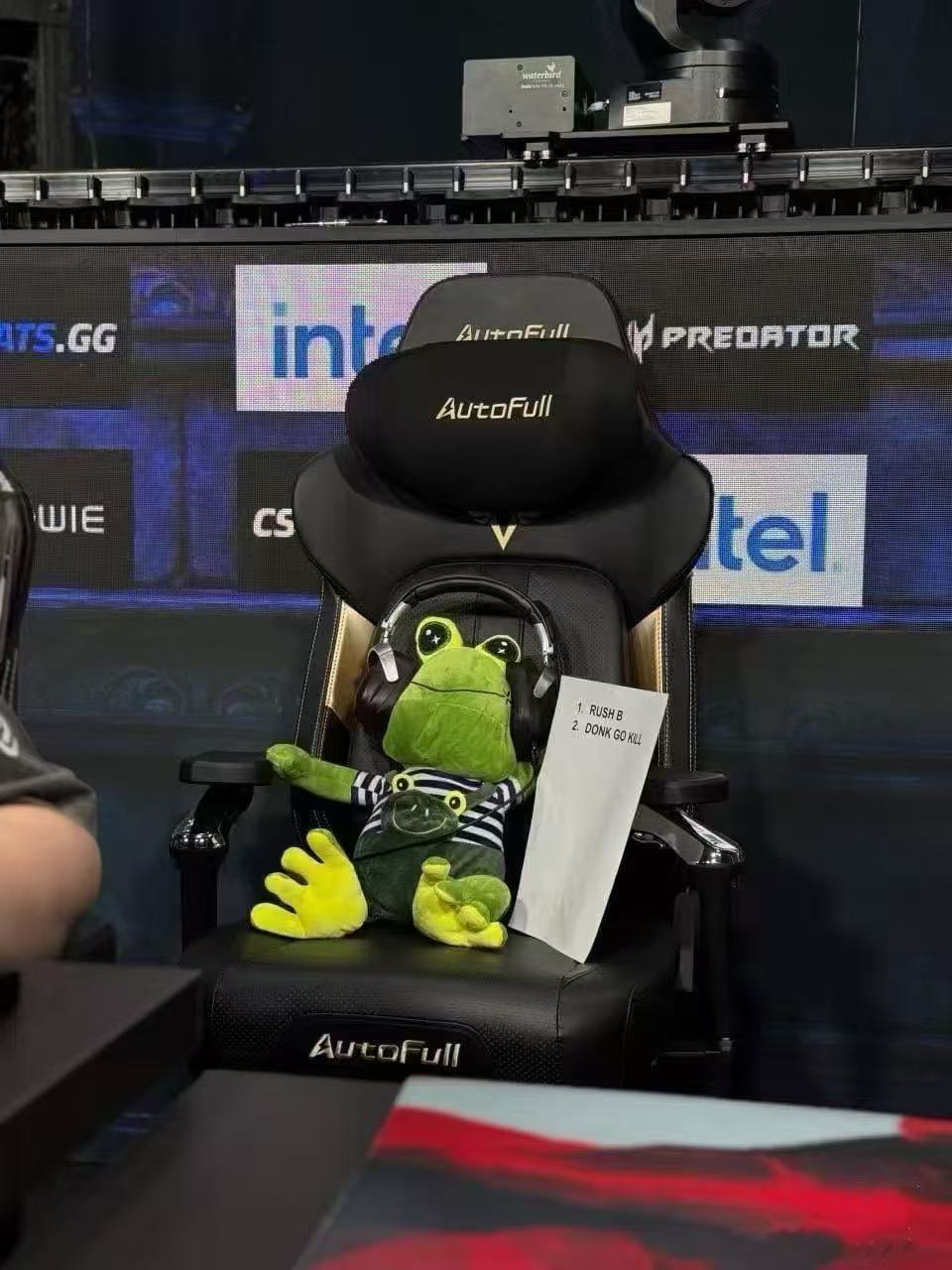 JABJABICH Frog Coach, same as the Green Dragon Coach, Donk's official frog plush toy
